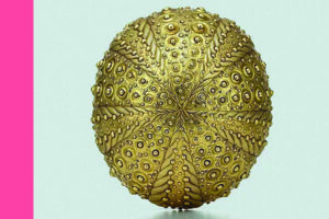 Gold Urchin 2a