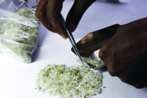 Marange Diamonds