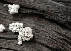 Silver Nugget 2