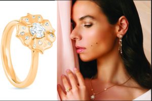 Lotus Collection 1