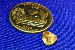 2.71 carat diamond Final