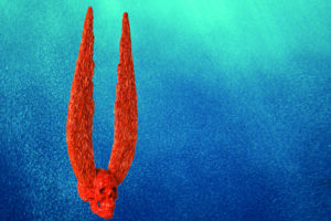 CIBJO Coral