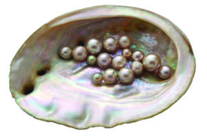 CIBJO releases pre-Congress 2025 Pearl Report 1 CIBJO Pearl 5