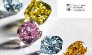 WhatsApp Image 2025 11 20 at 6.04.56 PM