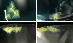 WhatsApp Image 2025 12 08 at 2.39.11 PM