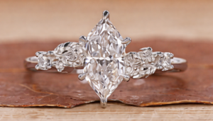 The Dramatic Marquise 1