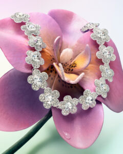 SWA ArianaGrande CapsuleCollection 2.0 2026 T2 GIFTING BAN ORGANIC SL 1 1080x1350 72DPI RGB