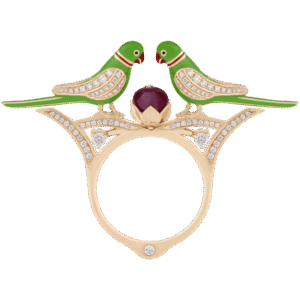 VBJ Parro The Signature Parrot Collection 3