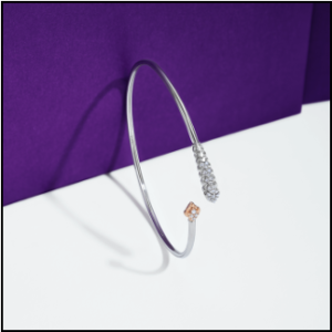 This Rakshabandhan, Make Every Sibling Bond shine Brighter with Platinum 2 image 2