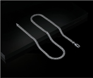 This Rakshabandhan, Make Every Sibling Bond shine Brighter with Platinum 5 image 5