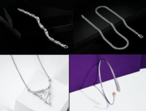 This Rakshabandhan, Make Every Sibling Bond shine Brighter with Platinum 1 llkkk 3